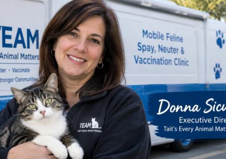 Donna Sicuranza: The Woman Behind Connecticut's Mobile Cat Clinic