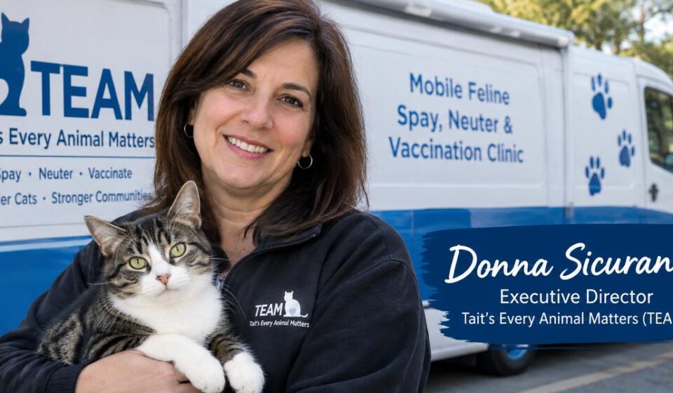 Donna Sicuranza: The Woman Behind Connecticut's Mobile Cat Clinic