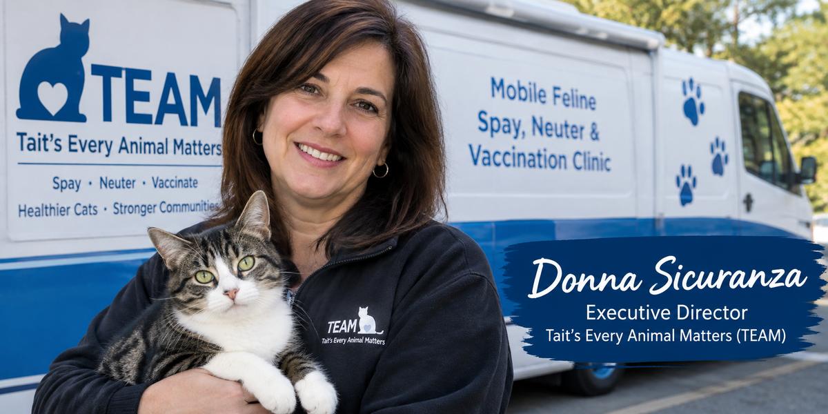 Donna Sicuranza: The Woman Behind Connecticut's Mobile Cat Clinic